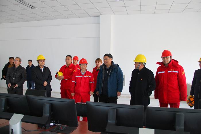 广汇能源老总_广汇能源马晓燕照片